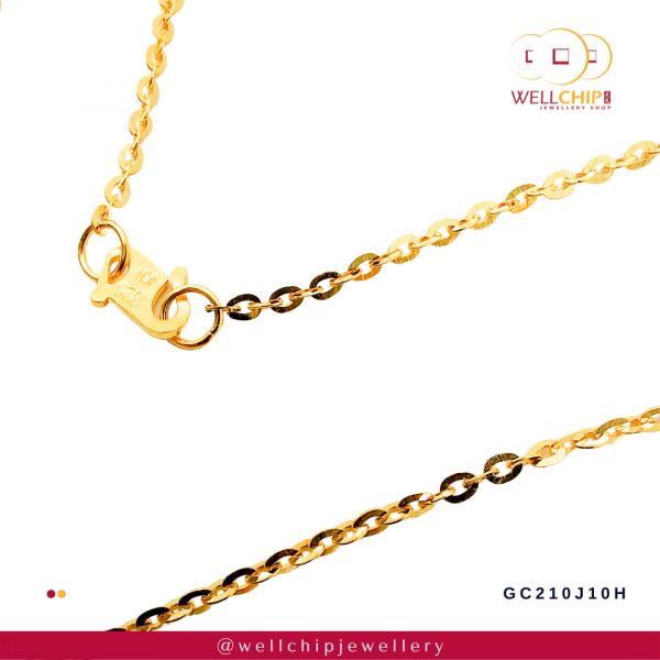 916 Gold Chain - GC210J10E_0H - 图片 3