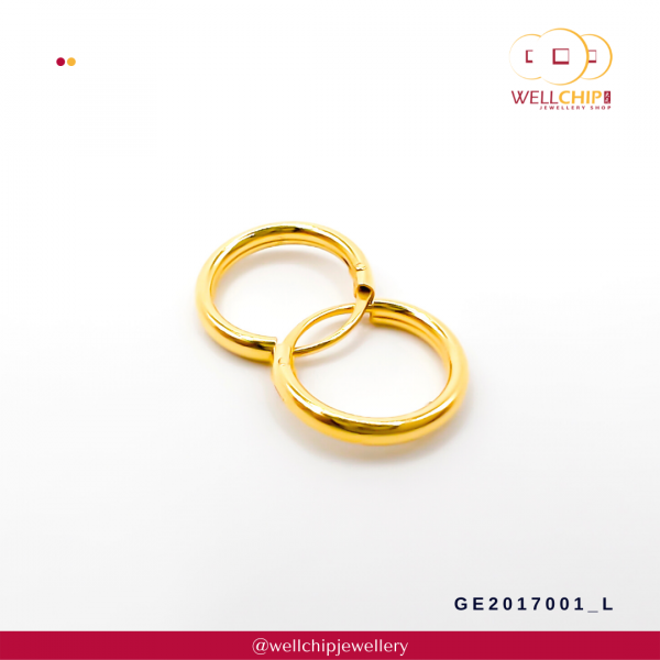 916 Gold Earring - GE2017001_0L_0J_0Q / GE210J105_06_07_0B_0E - 图片 4